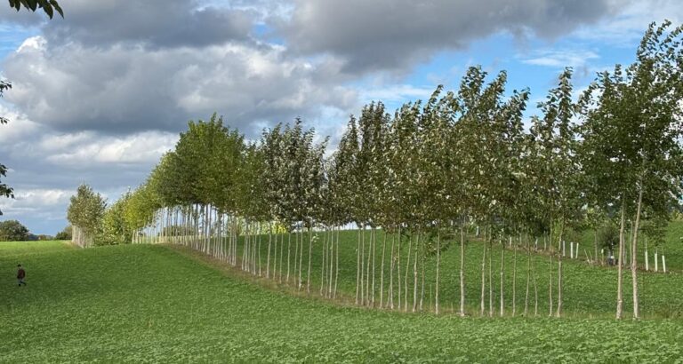 Agroforst erleben