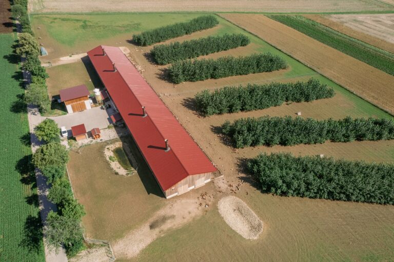 Agroforst erleben am 19.09.26